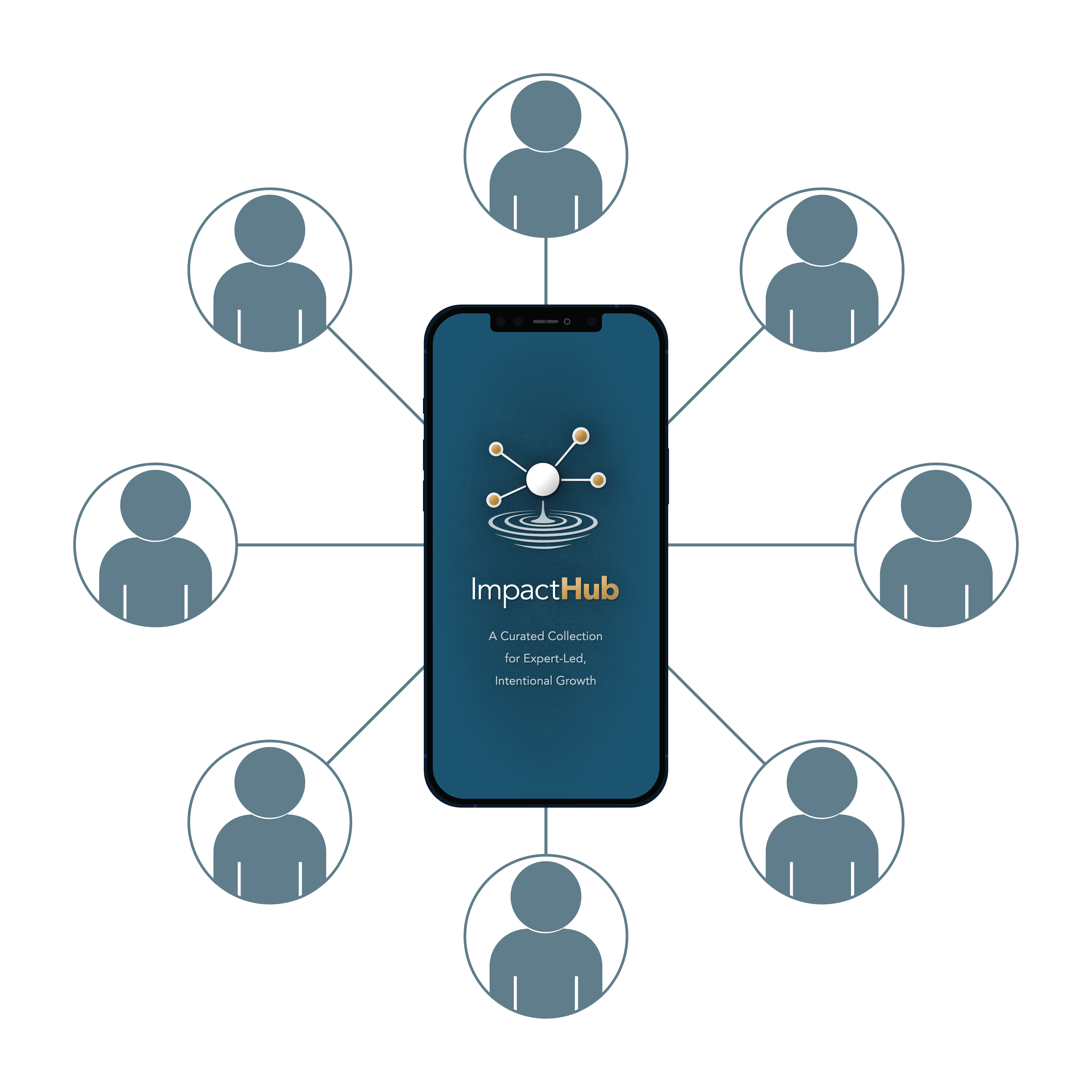 Diagram showing collective traffic benefiting all experts in ImpactHub